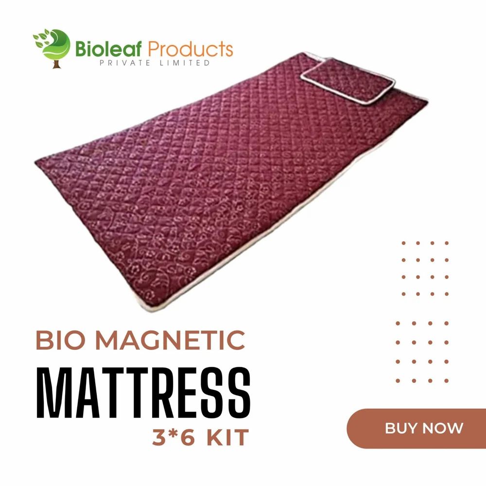 Smart Recliner Bed